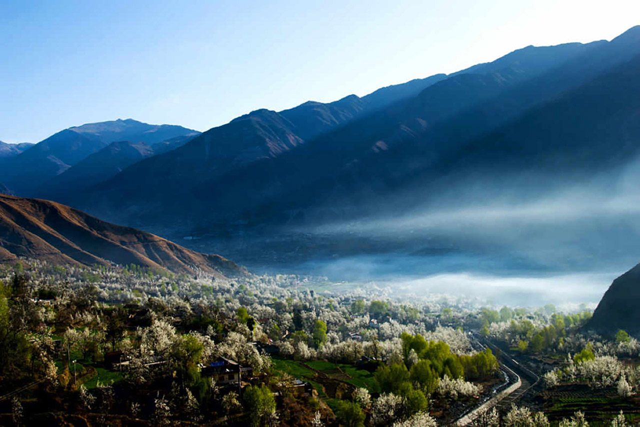 坪山特色周末主题团建方案