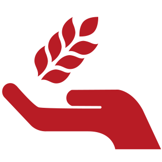 金龟露营音乐会