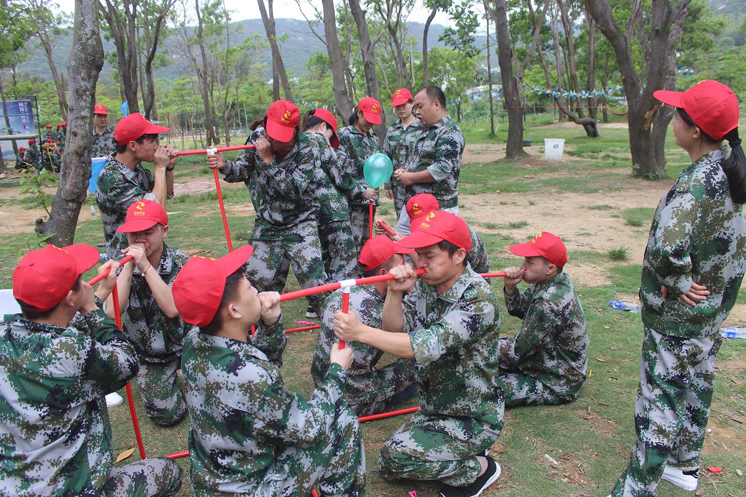 拓展训练心得：团队需要合作也需要竞争